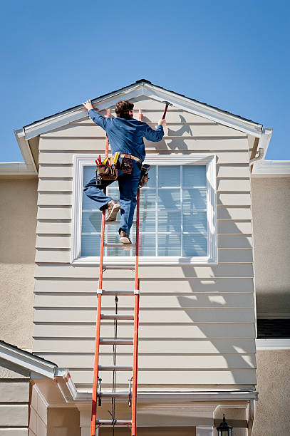 Best Brick Veneer Siding  in Davidson, NC