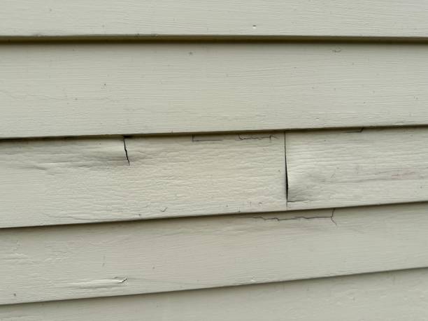 Best Stucco Siding  in Davidson, NC